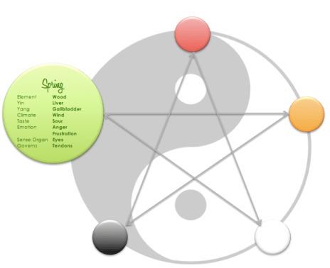 Five Elements Theory - Spring